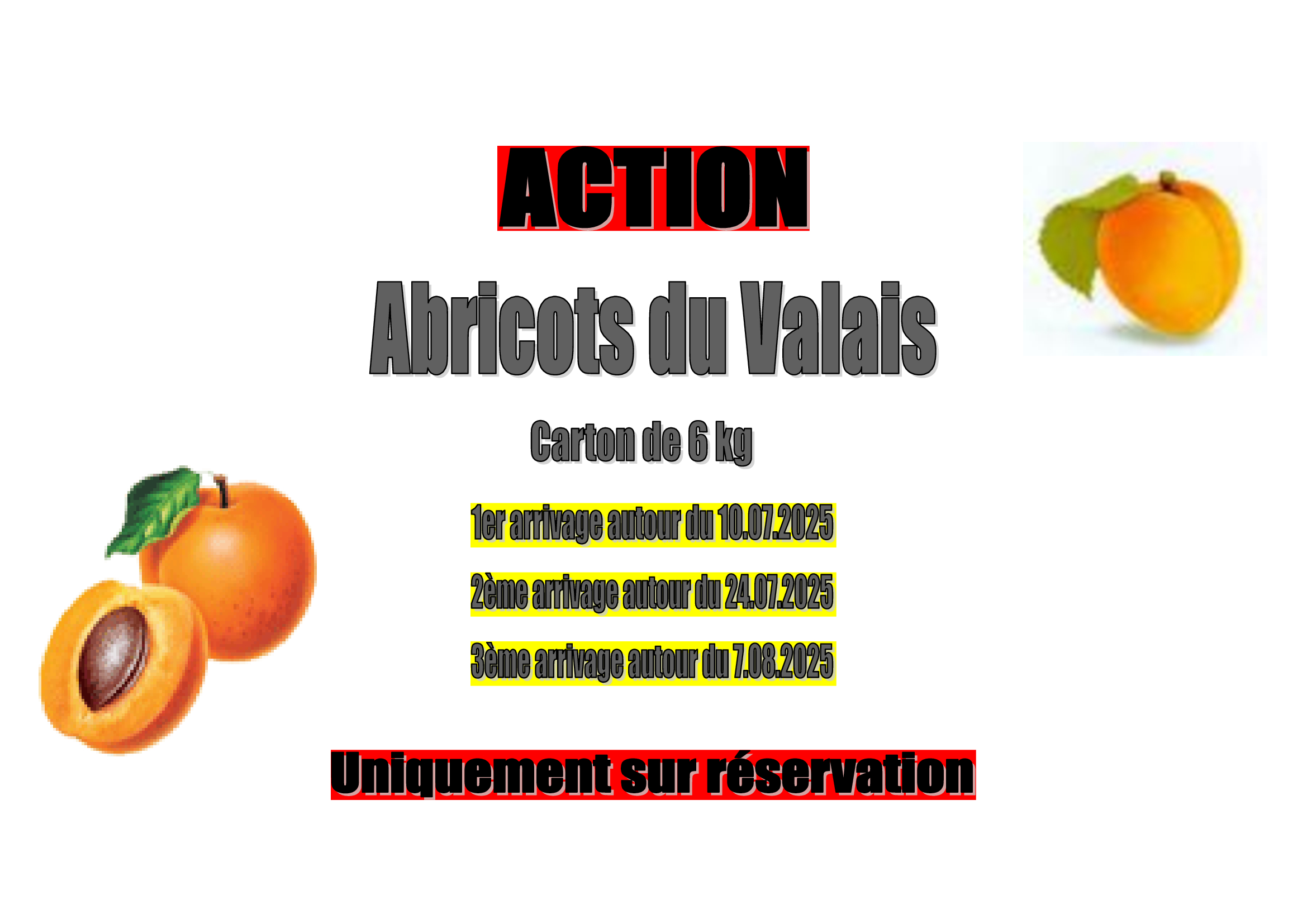 abricots2